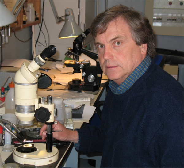 Stefano Taiti